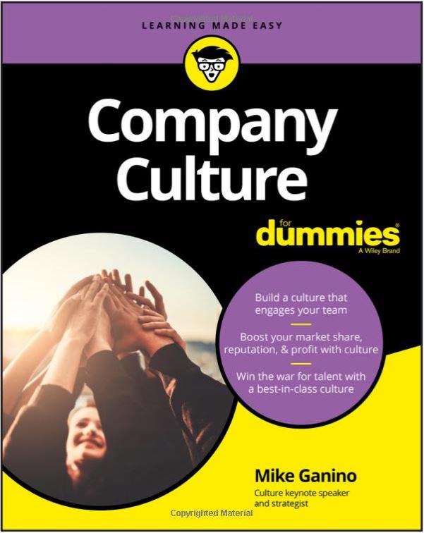 Company Culture for Dummies by Mike Ganino